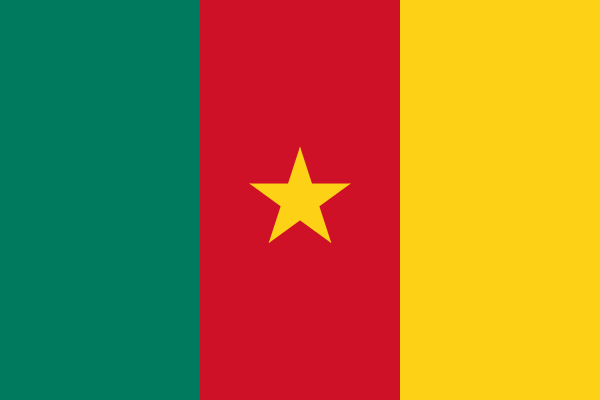 Drapeau Cameroun